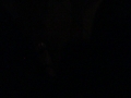 mvi_2100